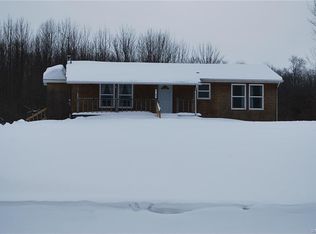 6185 Brown Hill Rd, Springville, NY 14141