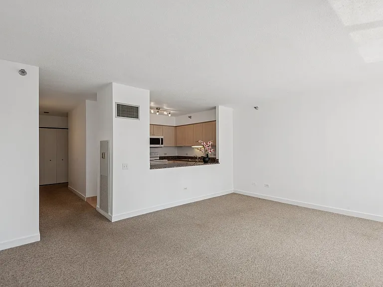512 N McClurg Ct #3409 — Photo 10