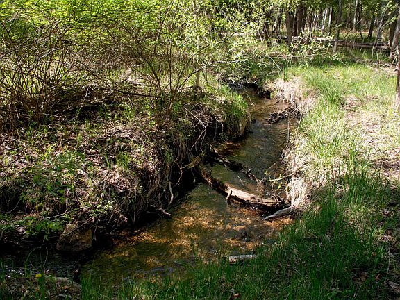 2nd image of 1436 Vanderlip Rd