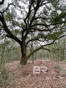 9847 S County Road 99 LOT 6, Lillian, AL, 36549