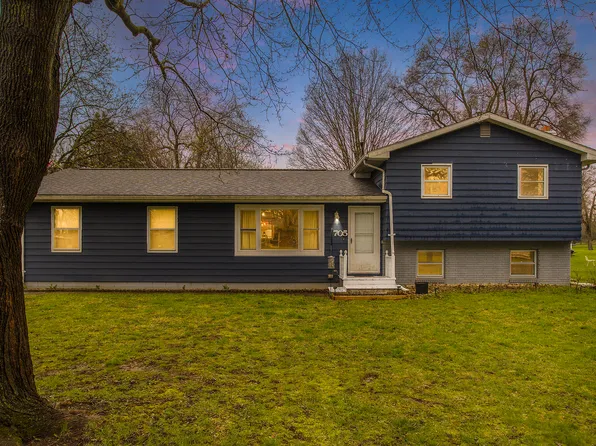 705 Madison St, Bellevue, MI 49021