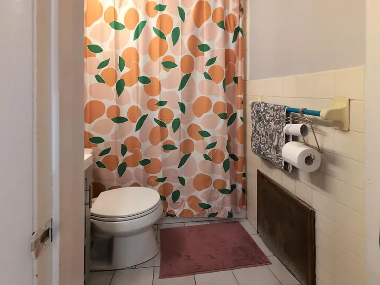 49 Hudson St #1 — Photo 10