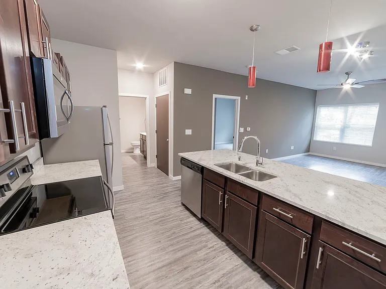 Mammoth Springs Apartments & Townhomes — Photo 55