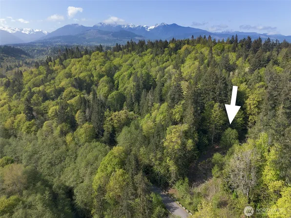 9999 Cottonwood Lane, Port Angeles, WA 98362