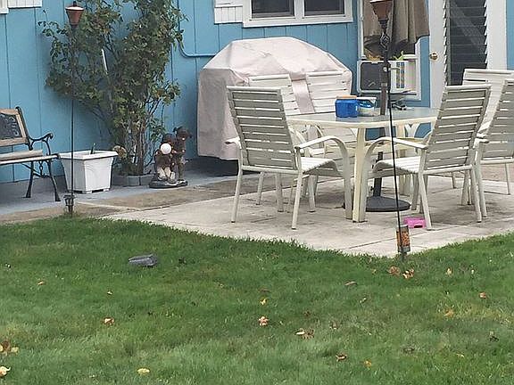 3rd image of 486 Saint Thomas Dr
