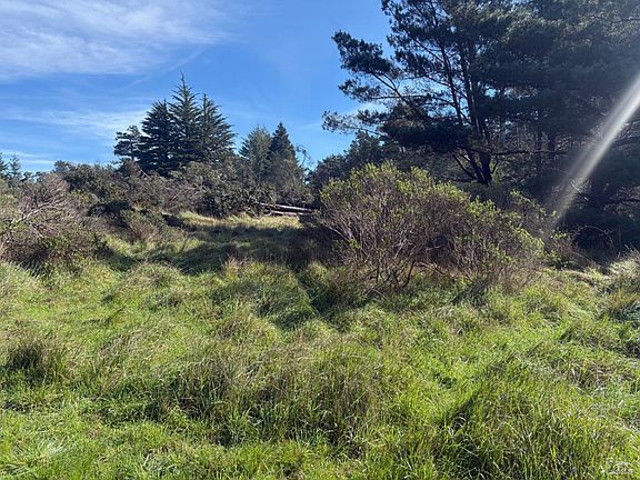 5th image of 35411 Fly Cloud Road