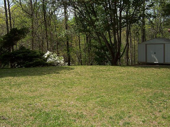 Large Backyard