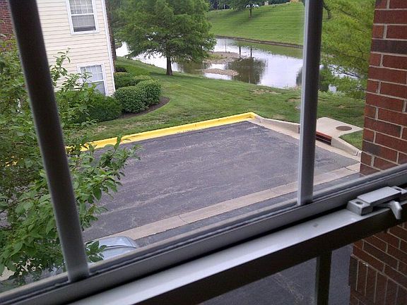 view from office of creek