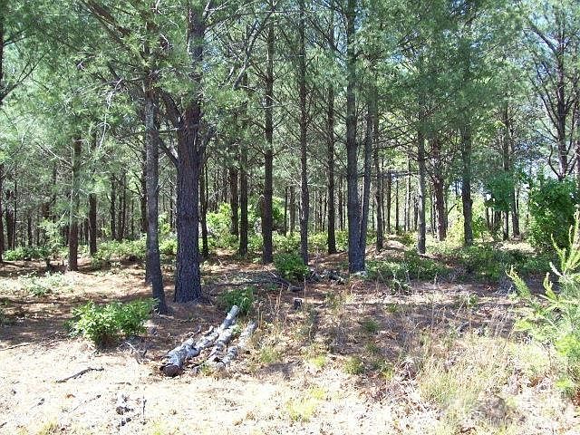 2nd image of 1552 Bear Cliff Dr #32