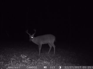 104 Compton Curry Rd, Somerville, AL 35670