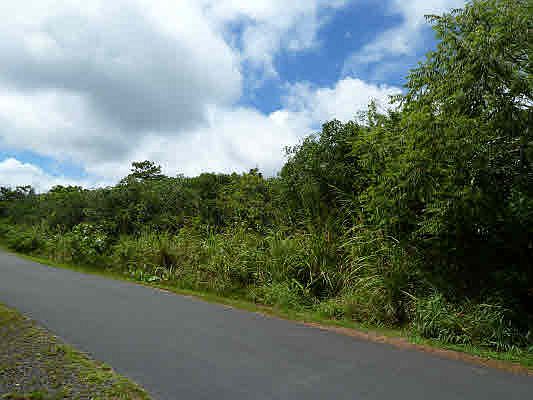 2nd image of Kaimu Makena Lot A-3