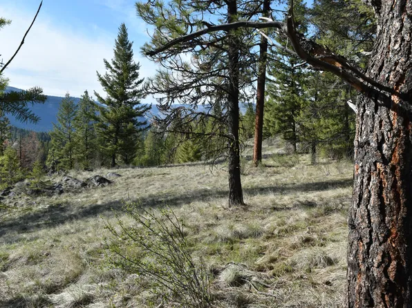 70 Excelsior Way, Curlew, WA 99118