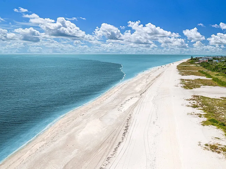 aerial view of the beach