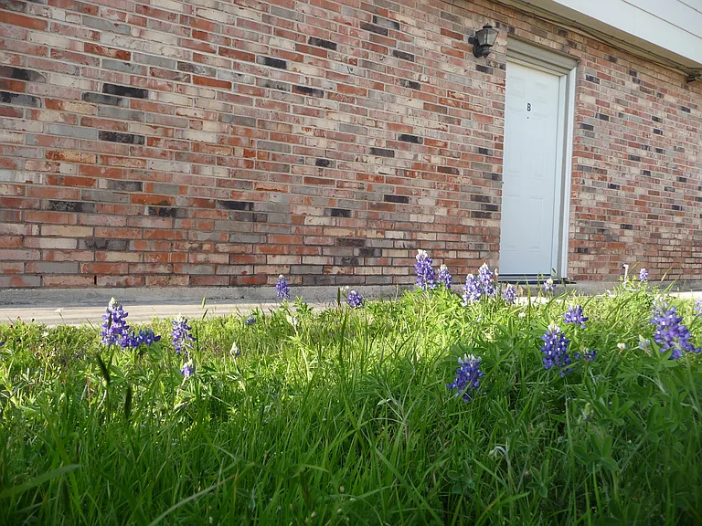 2306 Wales Cir #B — Photo 20