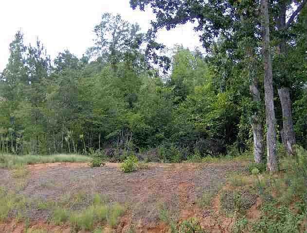 2nd image of 115 Josie Creek Dr