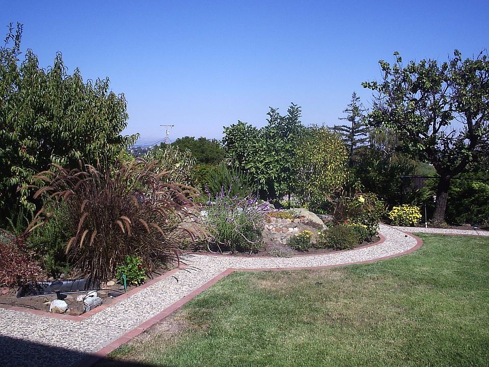 Yard of Fruit Trees & Bay Views