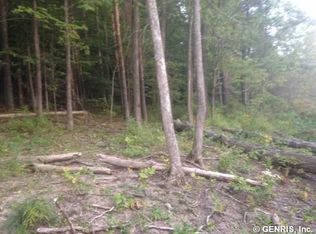 6401 S Old Bald Hill Rd, Springwater, NY 14560