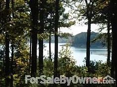 Summer view of lake
						:
						See beautiful Greers Ferry Lake from your property on Eden Isle.