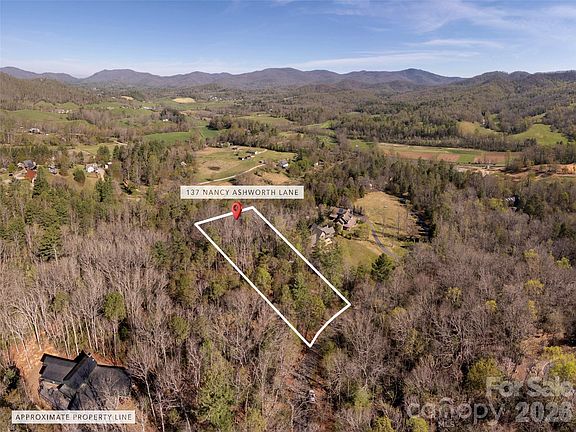 3rd image of 137 Nancy Ashworth Ln #13