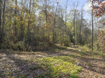 0D Hutcheson Ferry Rd TRACT D, Palmetto, GA, 30268