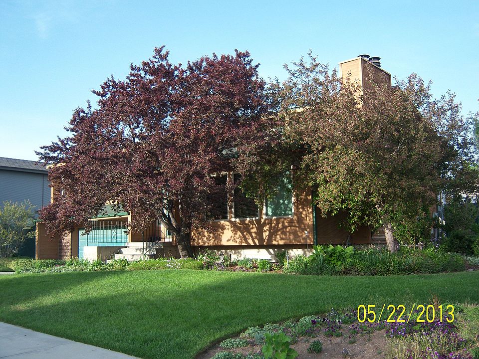 1st image of 10241 S Weeping Willow Dr