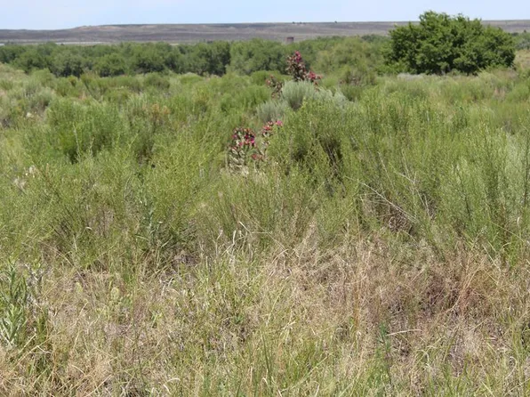 35345 Hidden Mesa Dr, Pueblo, CO 81006