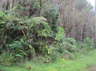 Kona St., Mountain View, HI 96771