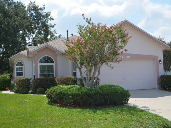 11333 Pink Blossom Ct, Orlando, FL 32821