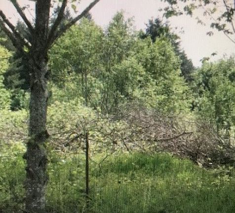 2nd image of 12901 NE 182nd Ave