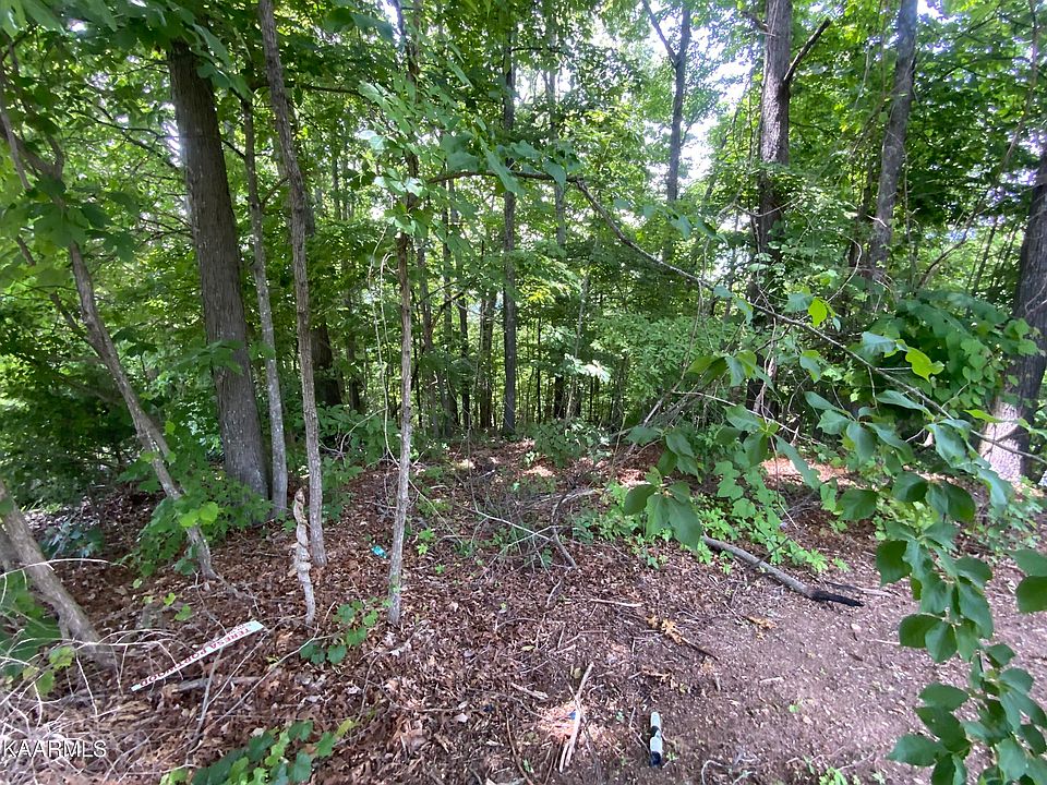 2nd image of Summit Hill Dr