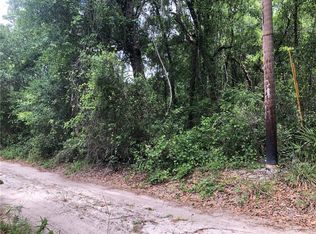 12446 SW 41st St, Webster, FL 33597