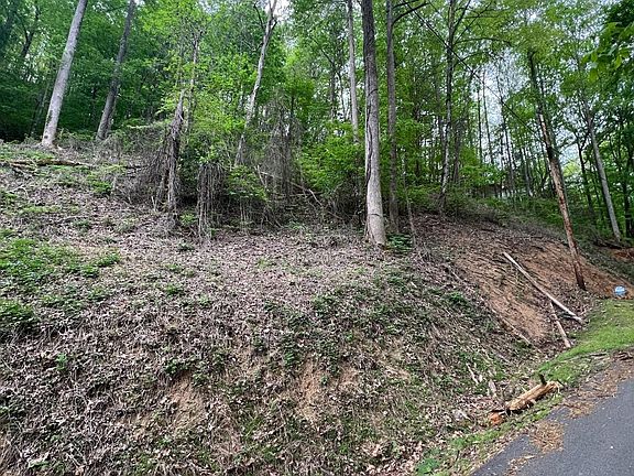 4th image of 33 Black Walnut Flats Rd
