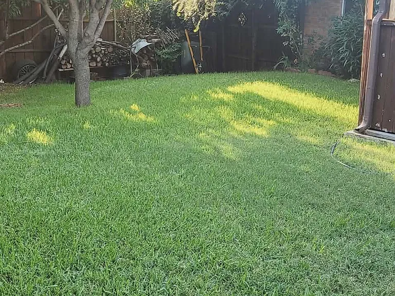 992 Ponderosa Rdg — Photo 17