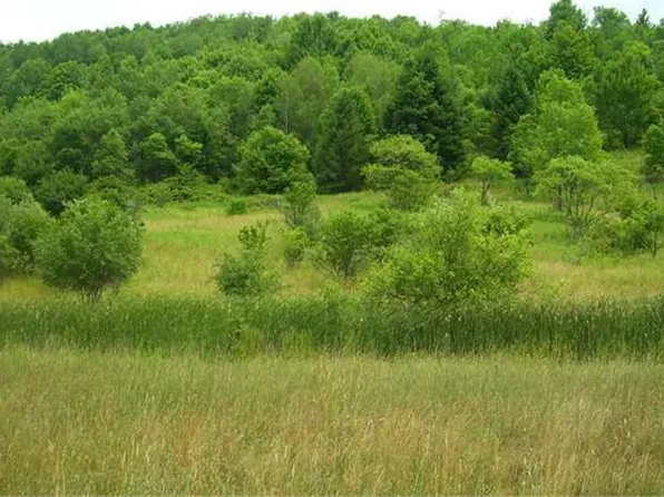 7251 State Route 19, Houghton, NY 14717