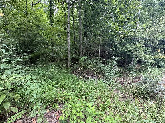 3rd image of 5001 Greenview Rd