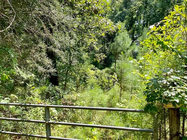 98 Wilmon Burge Rd, Carriere, MS 39426