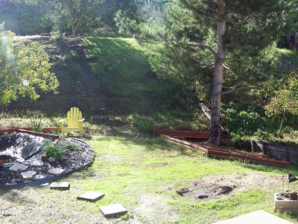 backyard view