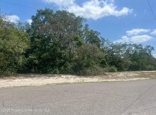 0 Clearwater Dr, Spring Hill, FL 34606