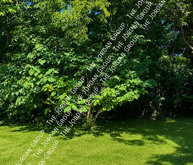 211 N College St — Photo 10