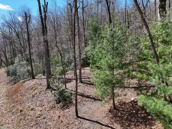 LOT 9 Native Trl, Blue Ridge, GA 30513
