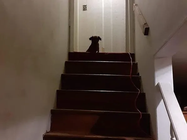 1700 N Wolf Crk, Pilgrim, KY 41250