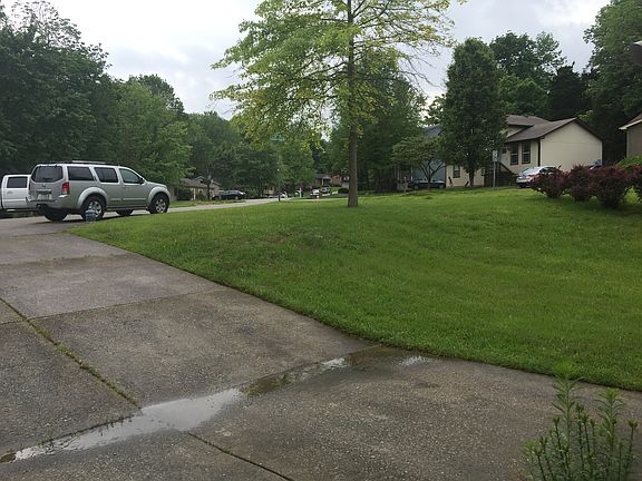 View from driveway to street