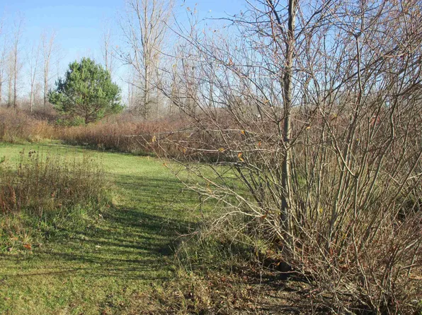 0 E Bennington Rd, Durand, MI 48429