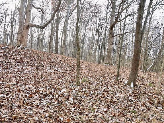 2nd image of 0 N Maysville Ln