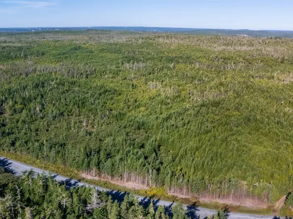 Pettipas Ln, East Chezzetcook, NS B0J 1N0