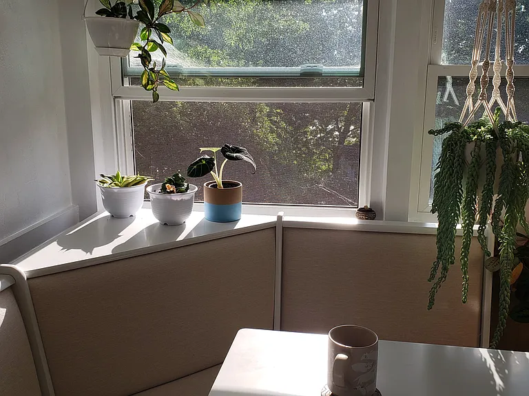 3 Natural History Dr #A — Photo 24