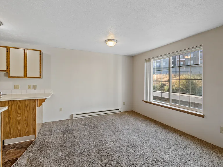 Indian Canyon Apartments — Photo 21
