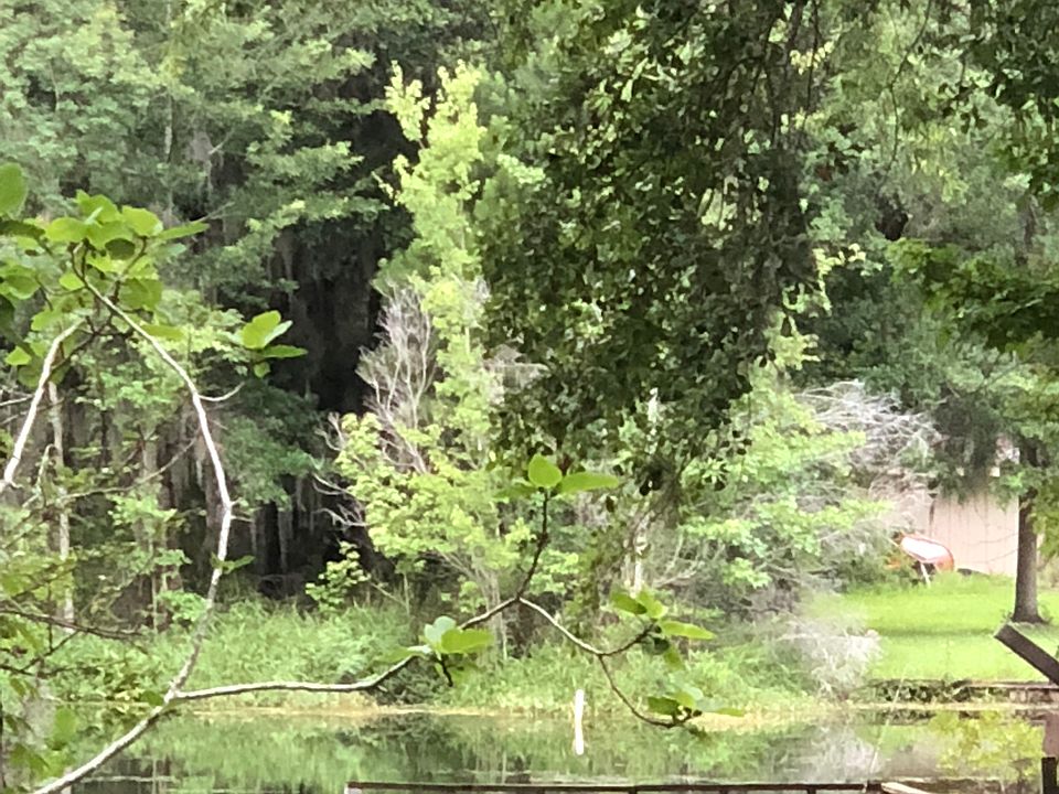 1st image of 307 Wild Heron Dr
