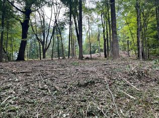 W Hemlock St, Lafollette, TN 37766