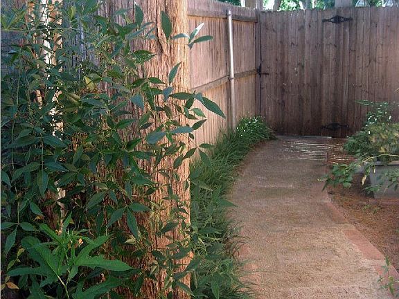 side walkway